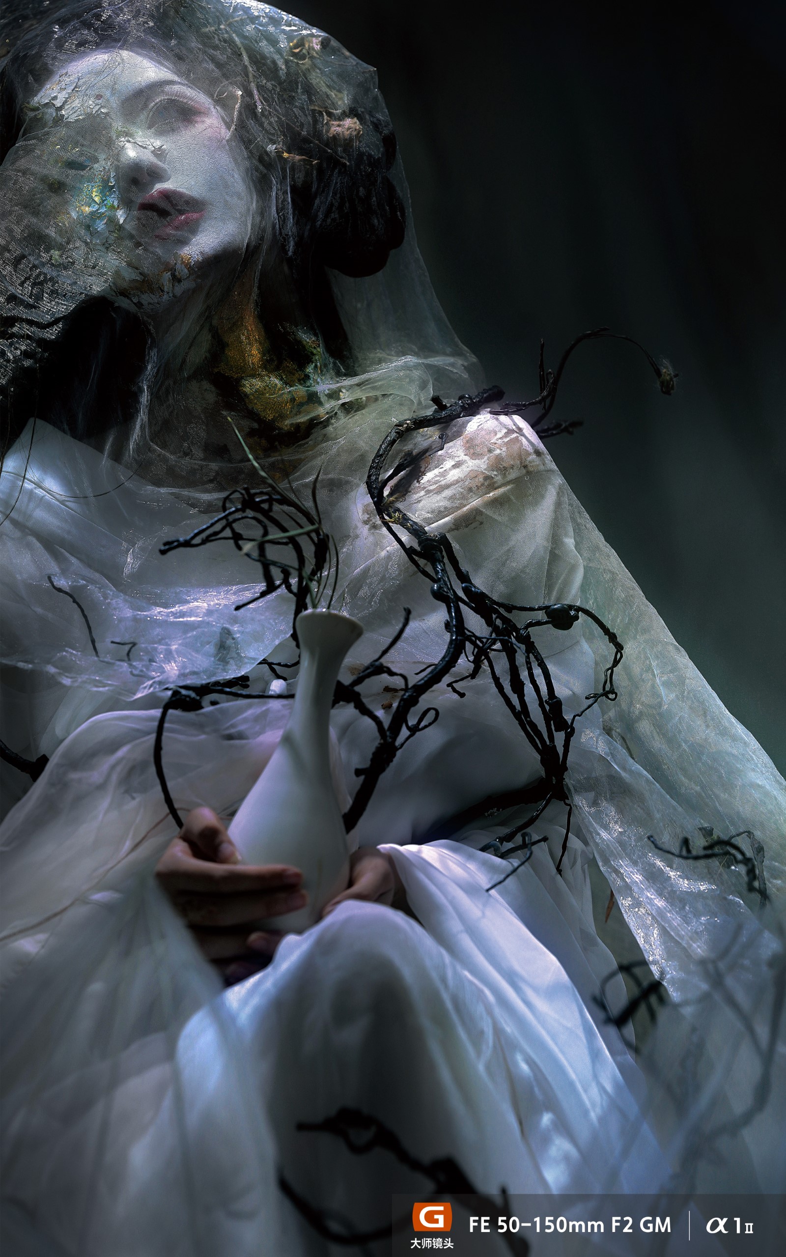 FE 28-70mm F2 GM样片欣赏