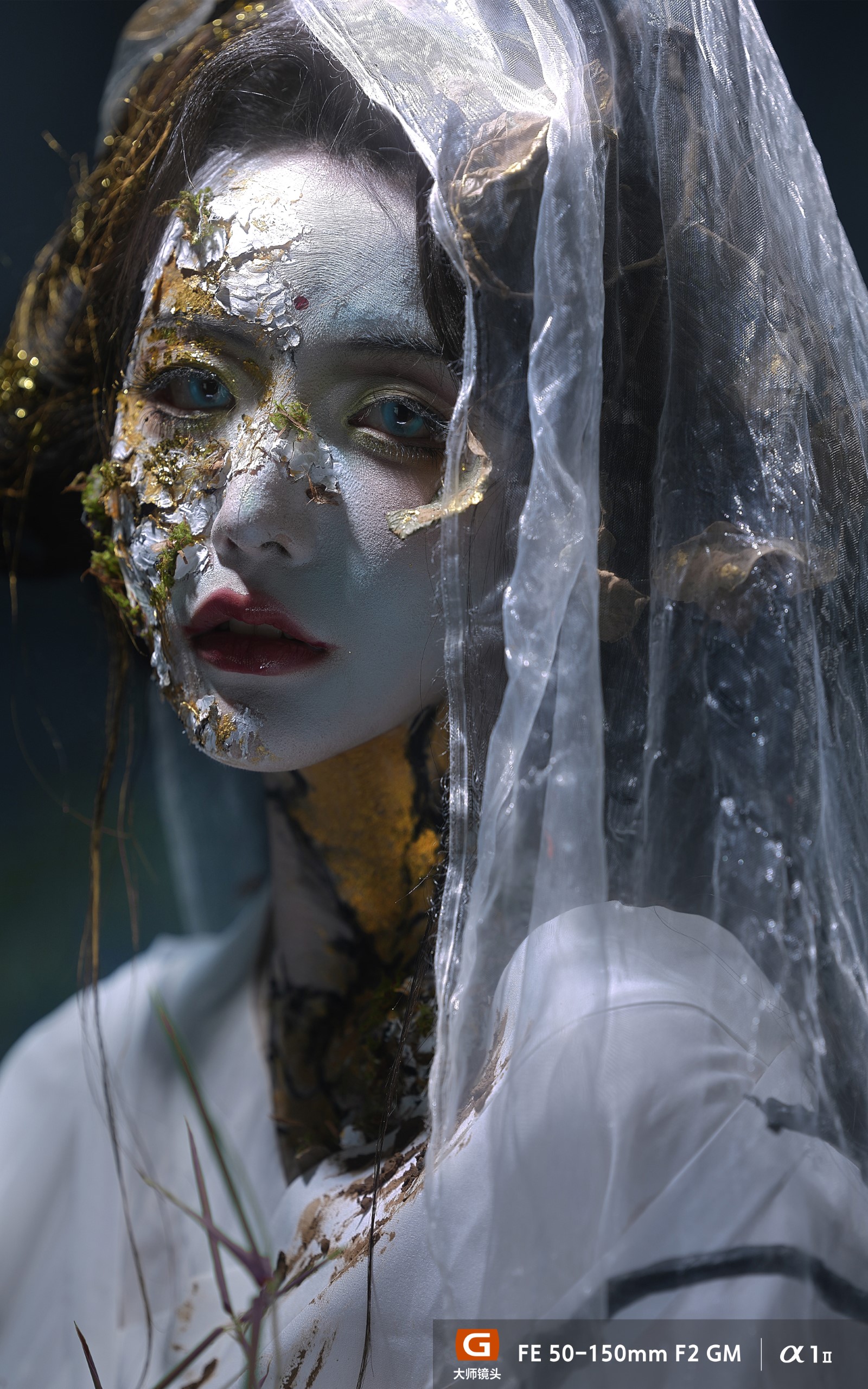 FE 28-70mm F2 GM样片欣赏