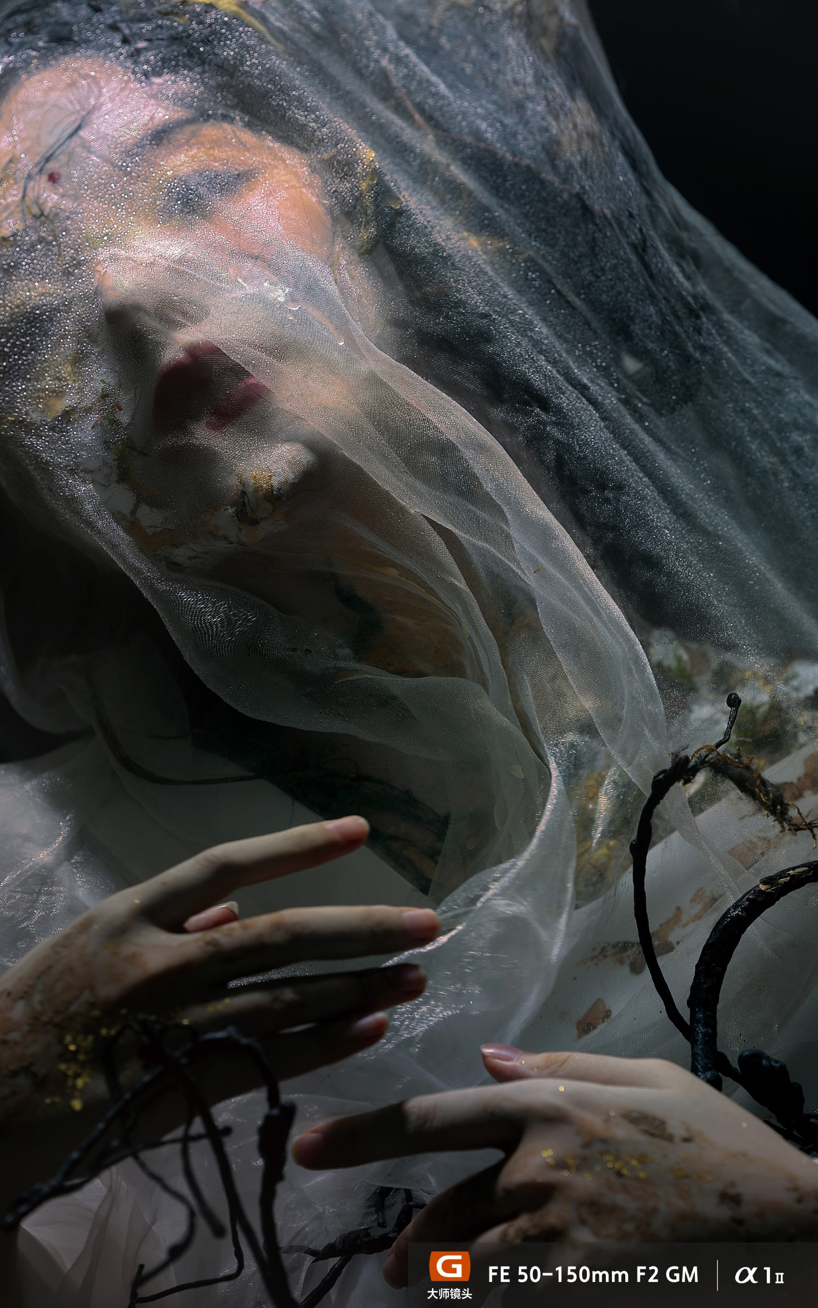 FE 28-70mm F2 GM样片欣赏