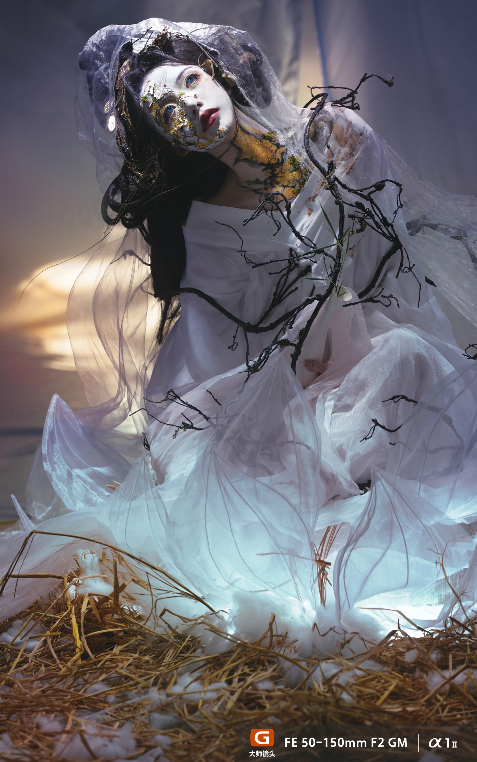 FE 28-70mm F2 GM样片欣赏