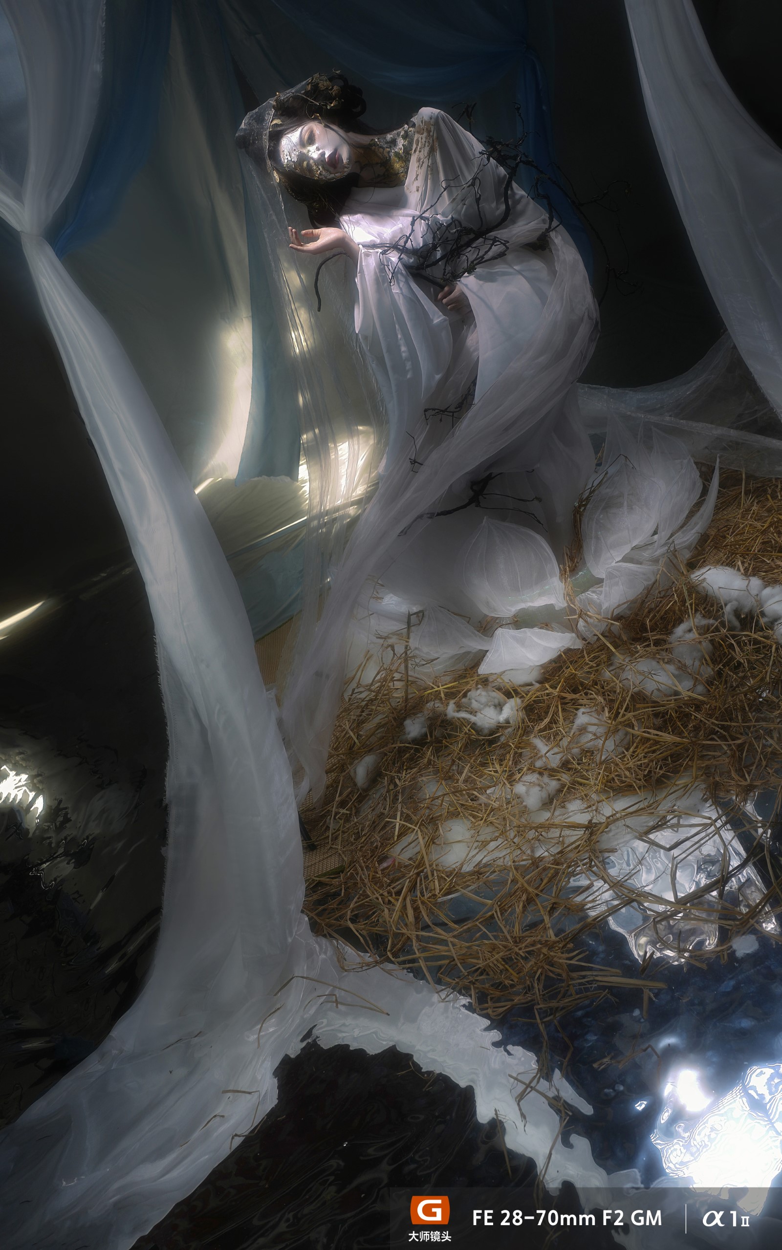 FE 28-70mm F2 GM样片欣赏