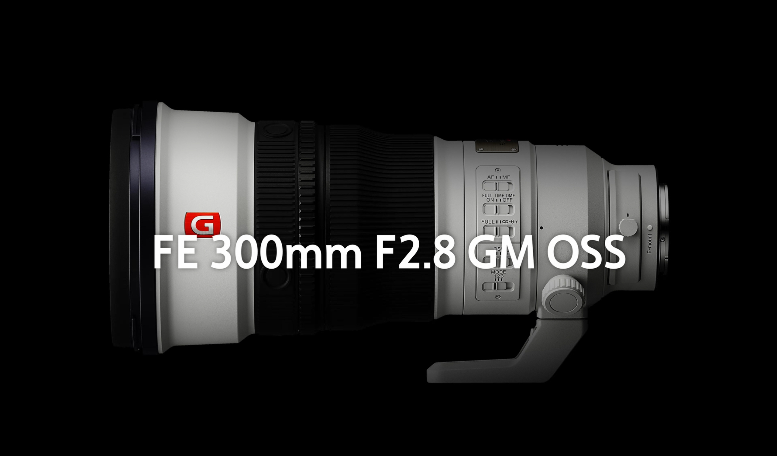 SEL300F28GM