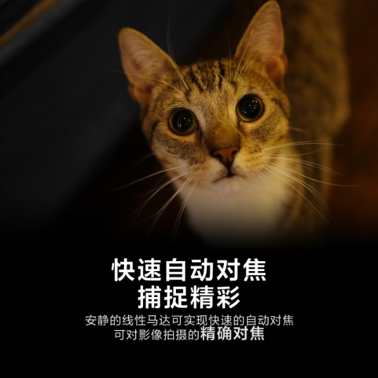 Alpha 7 IV+SEL35F18F全画幅广角定焦镜头套装(ILCE-7M4/α7 IV) - 产品图