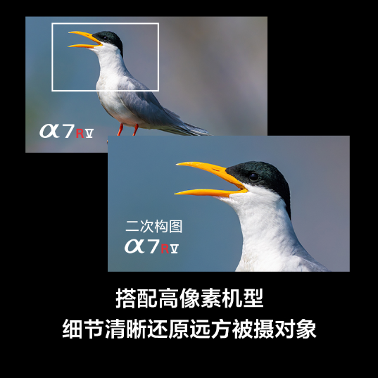 SEL400800G