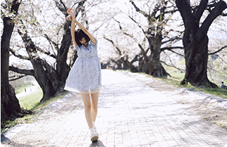 FE 50-150mm F2 GM