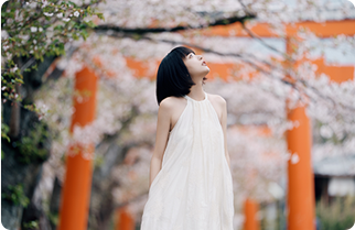 FE 50-150mm F2 GM