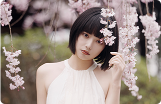 FE 50-150mm F2 GM