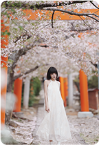 FE 50-150mm F2 GM