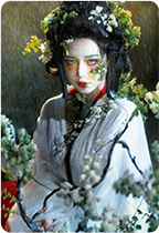 FE 50-150mm F2 GM