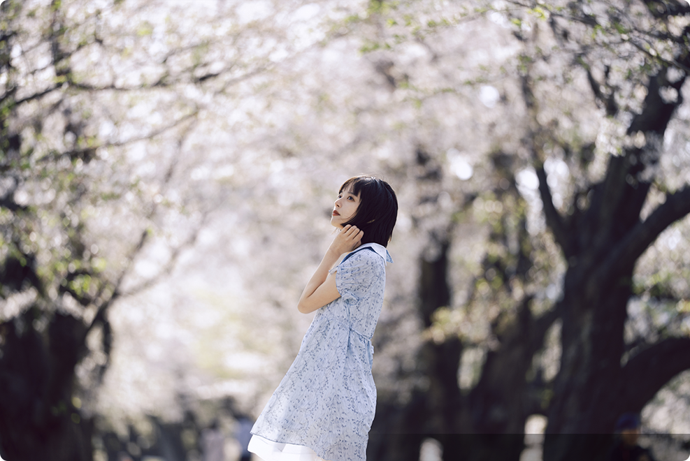 FE 50-150mm F2 GM