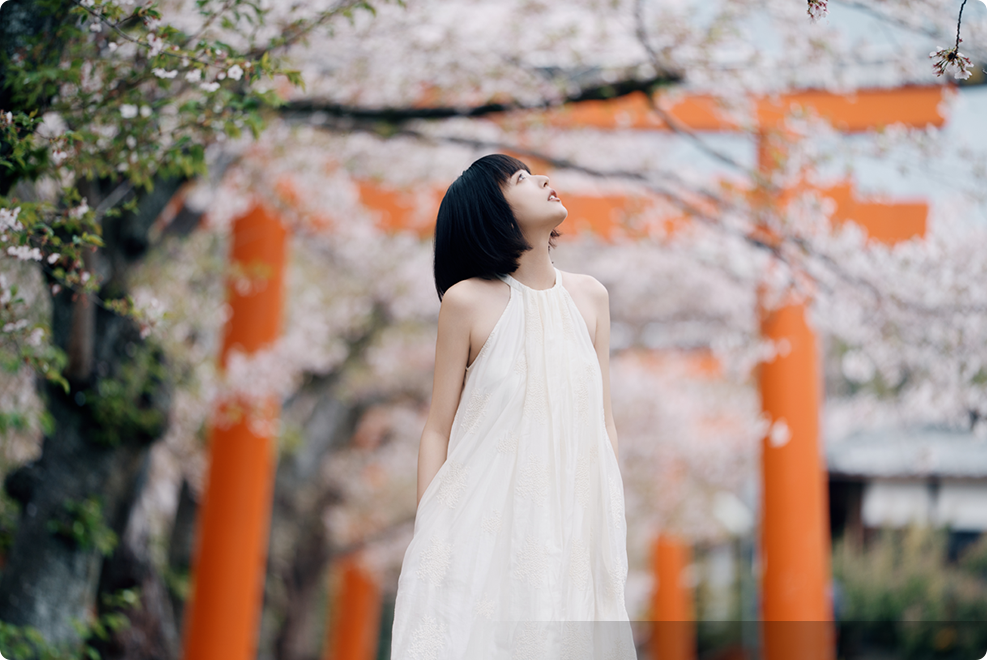 FE 50-150mm F2 GM