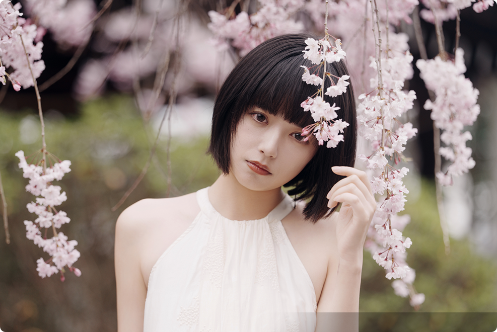 FE 50-150mm F2 GM