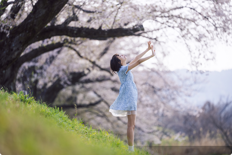 FE 50-150mm F2 GM