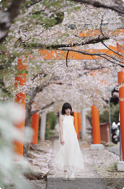 FE 50-150mm F2 GM