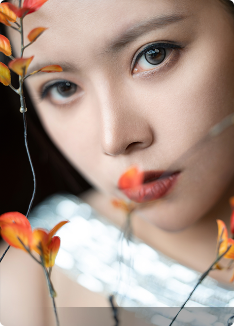 FE 50-150mm F2 GM