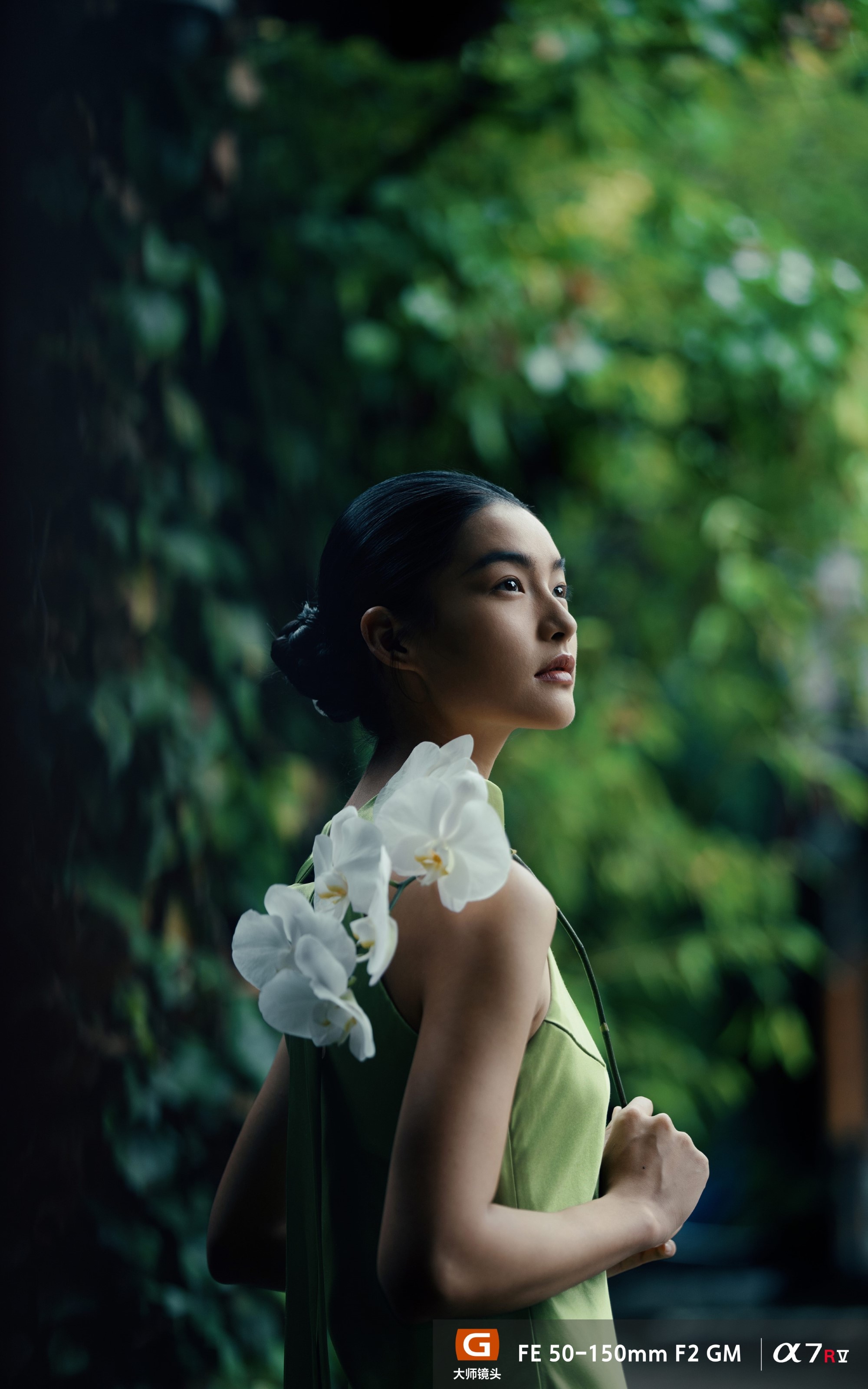 FE 50-150mm F2 GM样片欣赏
