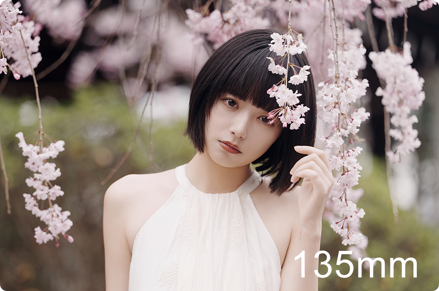 FE 50-150mm F2 GM