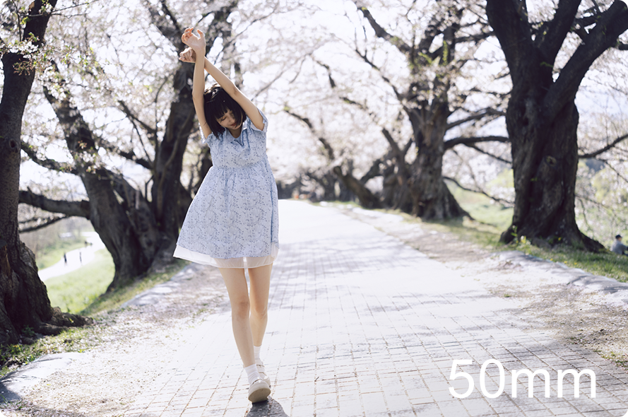 FE 50-150mm F2 GM
