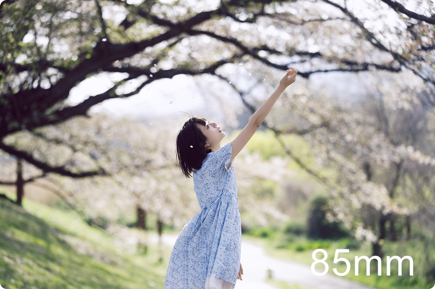 FE 50-150mm F2 GM