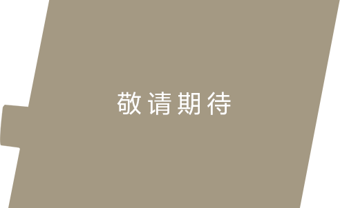 FE 50-150mm F2 GM