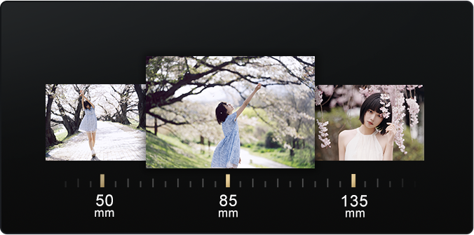 FE 50-150mm F2 GM