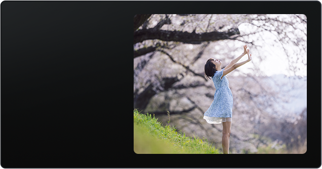 FE 50-150mm F2 GM
