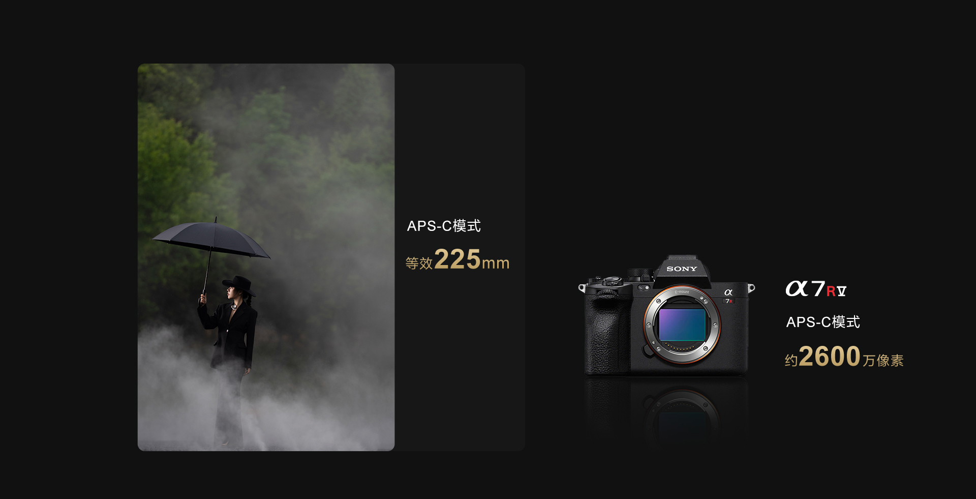 FE 50-150mm F2 GM