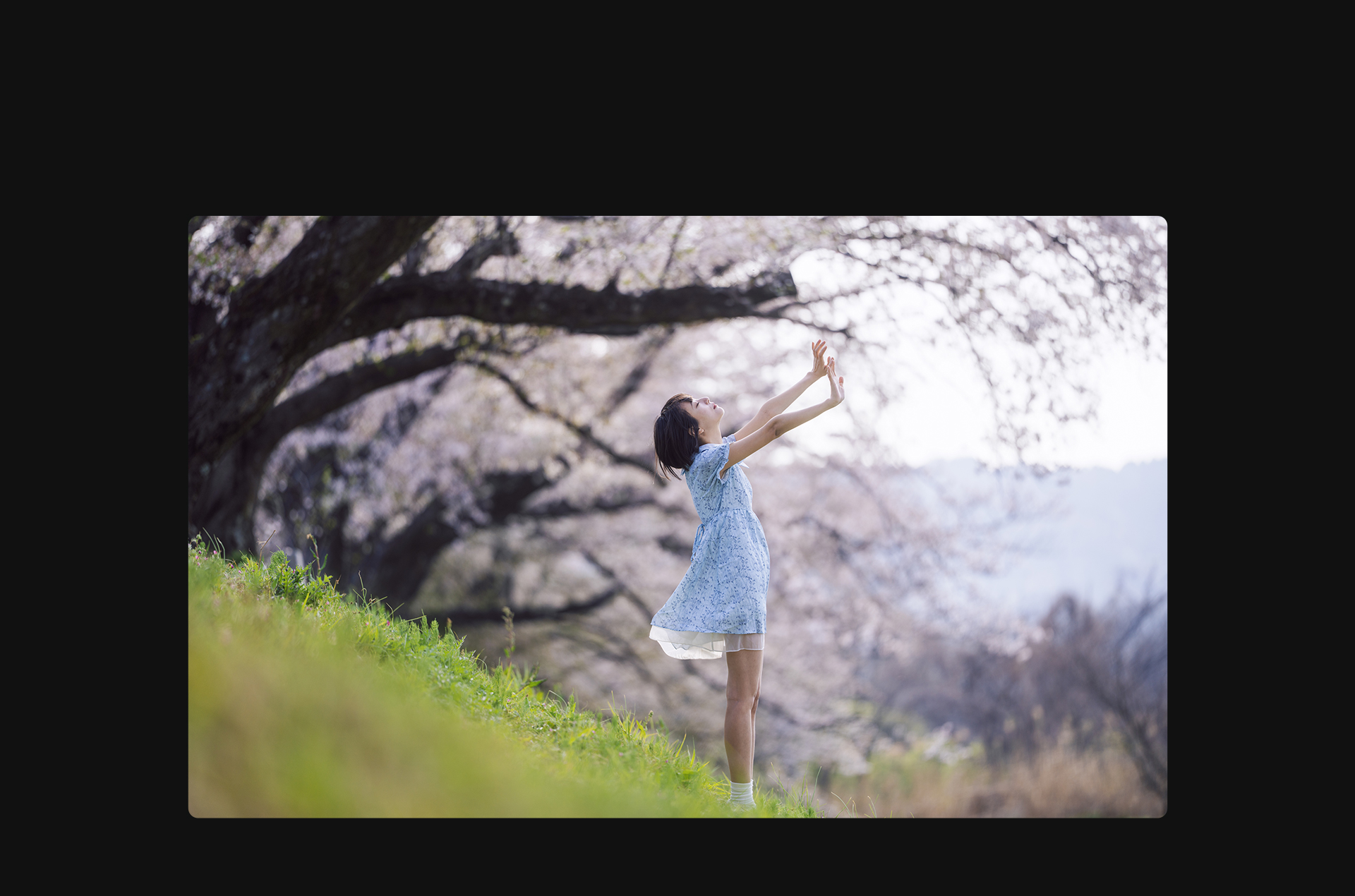 FE 50-150mm F2 GM