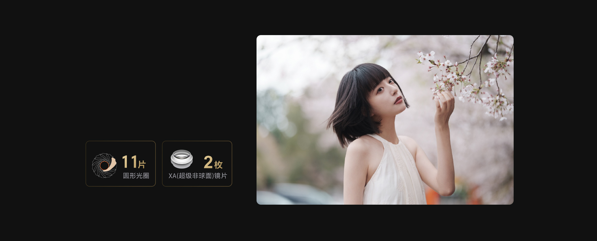 FE 50-150mm F2 GM