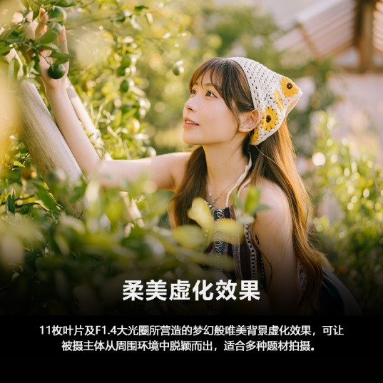 FE 50mm F1.4 GM全画幅大光圈定焦G大师镜头(SEL50F14GM) - 产品图