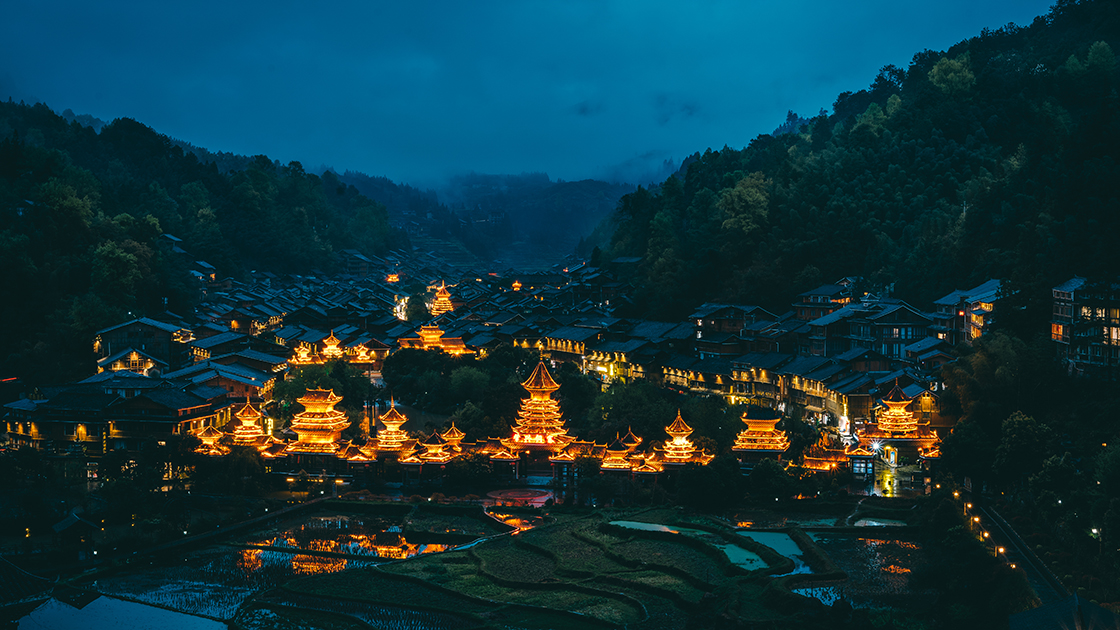 样照欣赏