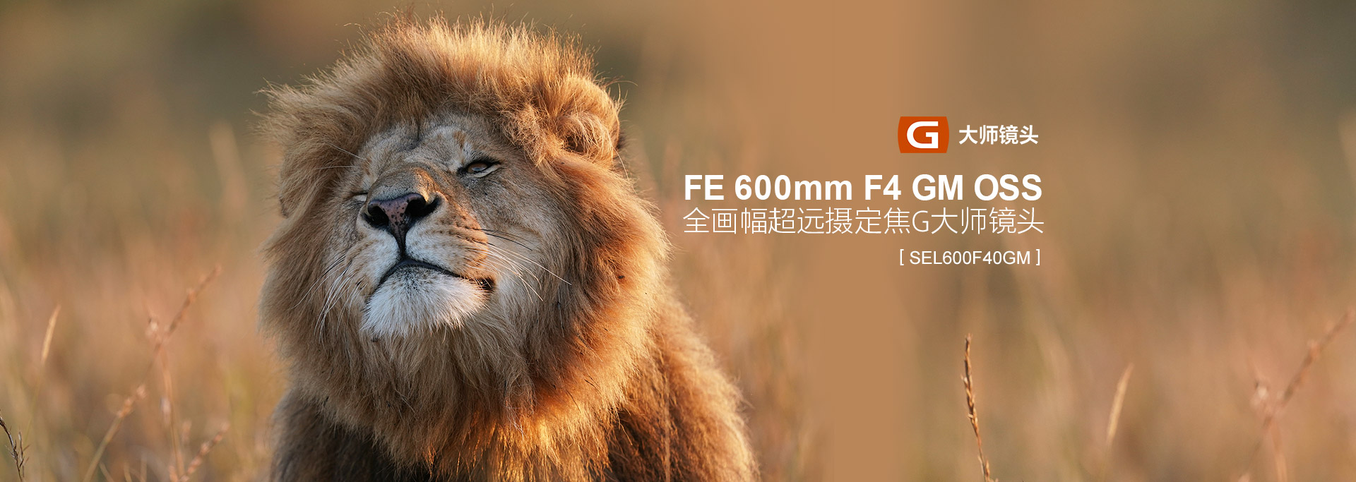 FE 600mm F4 GM OSS 全画幅超远摄定焦G大师镜头(SEL600F40GM)