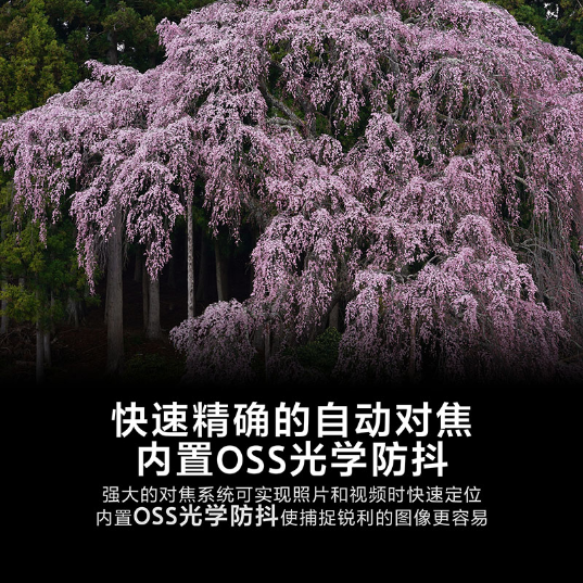 FE 70-200mm F2.8 GM OSS  全画幅远摄变焦G大师镜头 大三元 (SEL70200GM) - 产品图