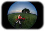 FE 8-14mm F3.5 Fisheye G