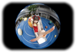 FE 8-14mm F3.5 Fisheye G