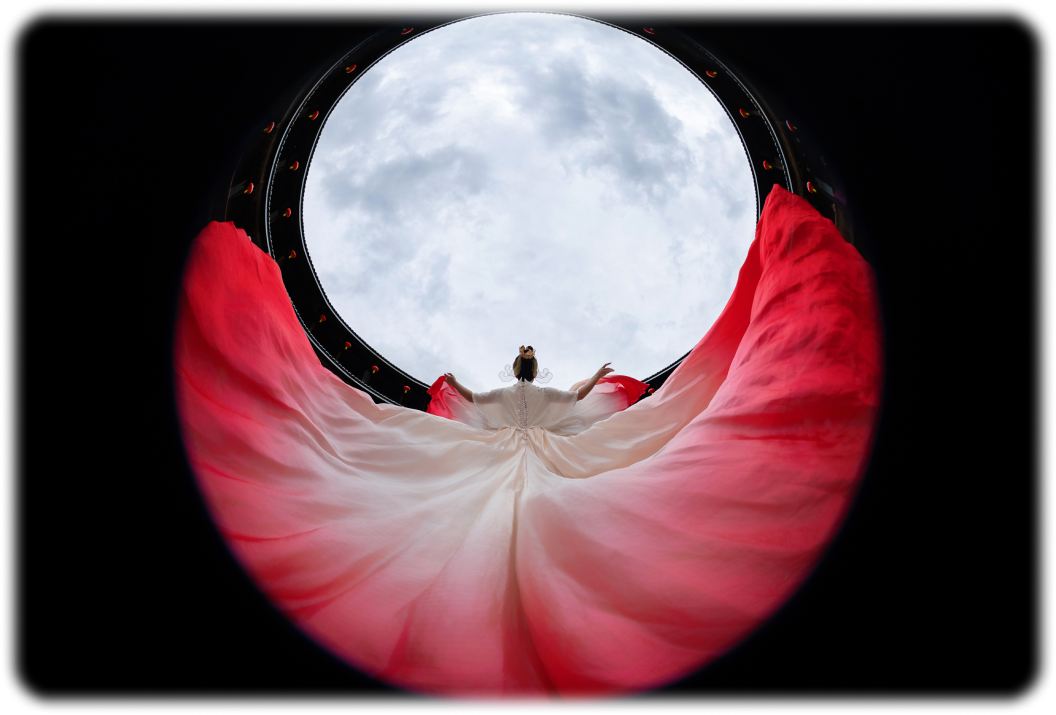 FE 8-14mm F3.5 Fisheye G
