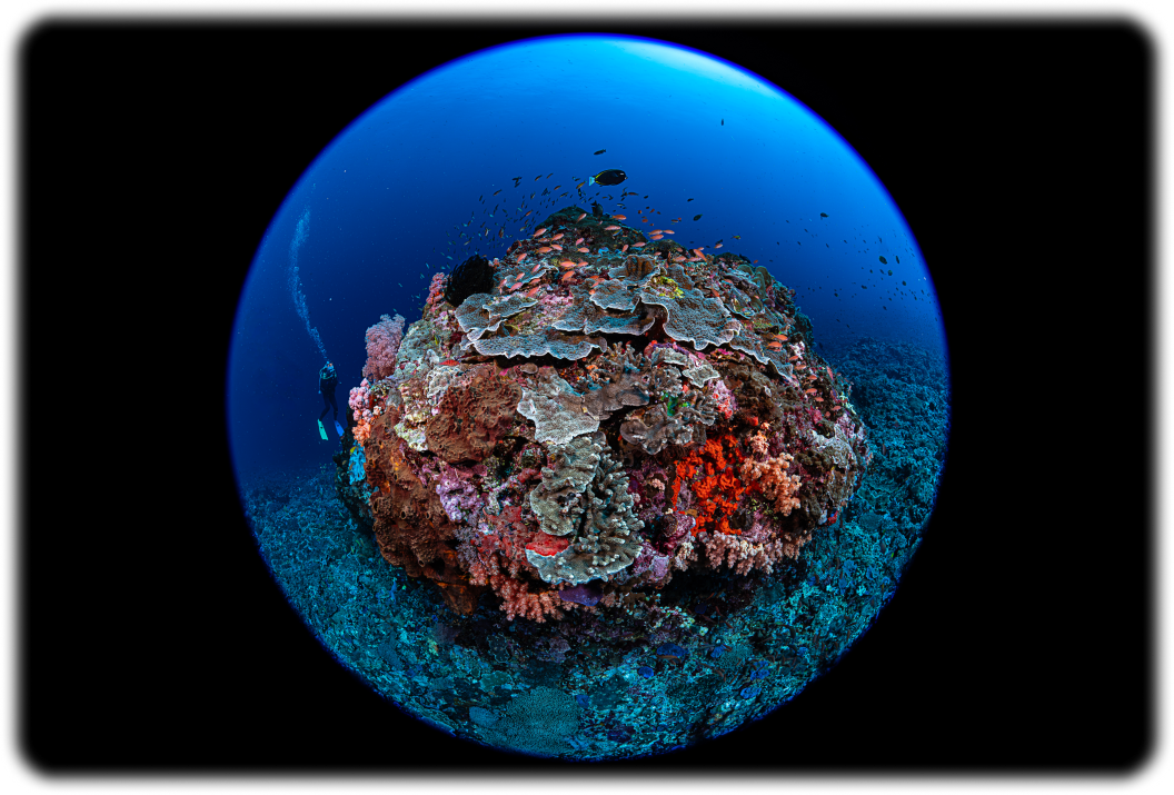 FE 8-14mm F3.5 Fisheye G