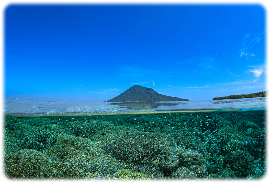 FE 8-14mm F3.5 Fisheye G