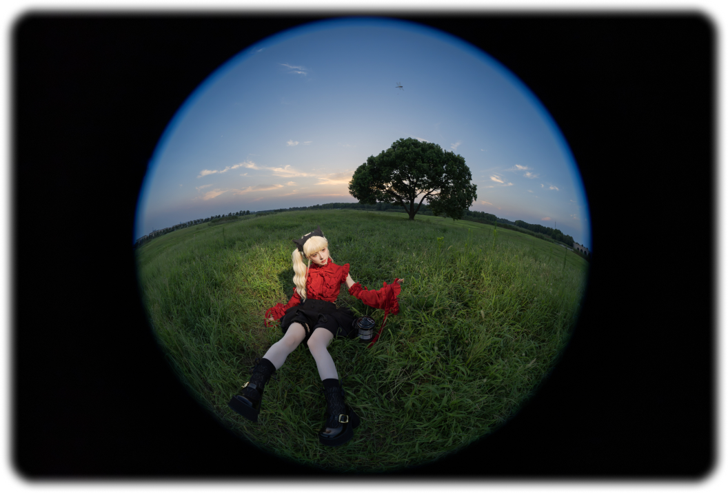 FE 8-14mm F3.5 Fisheye G