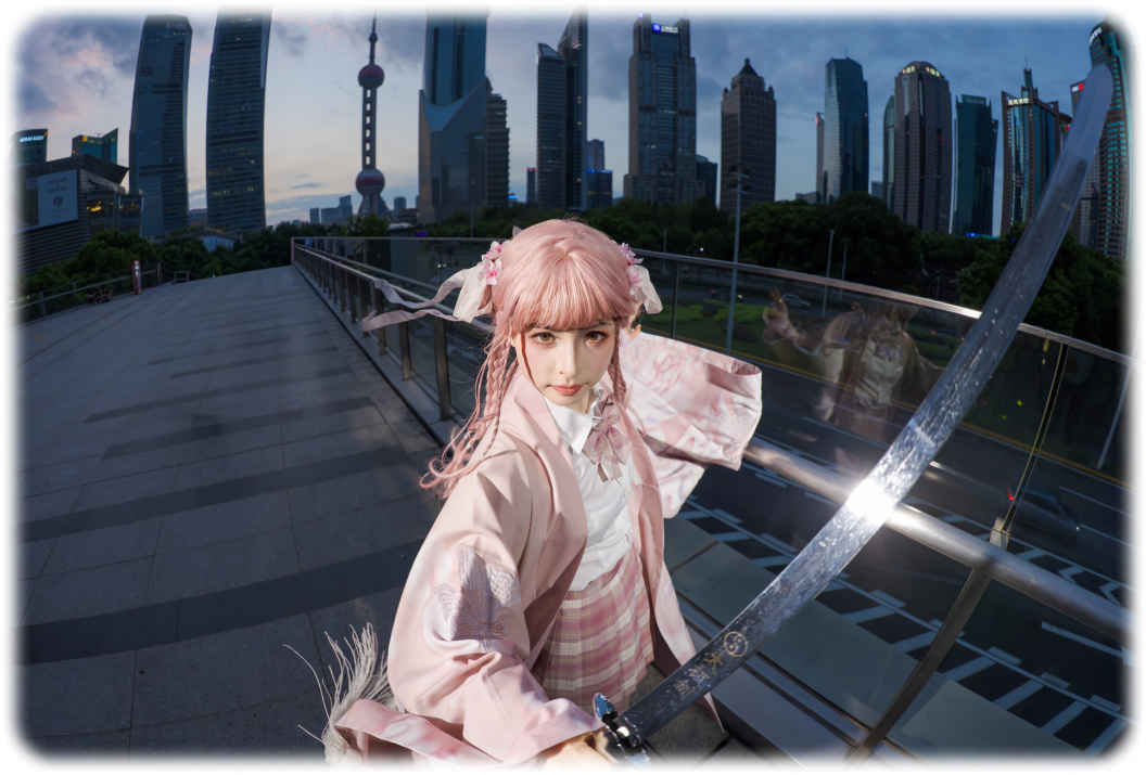 FE 8-14mm F3.5 Fisheye G