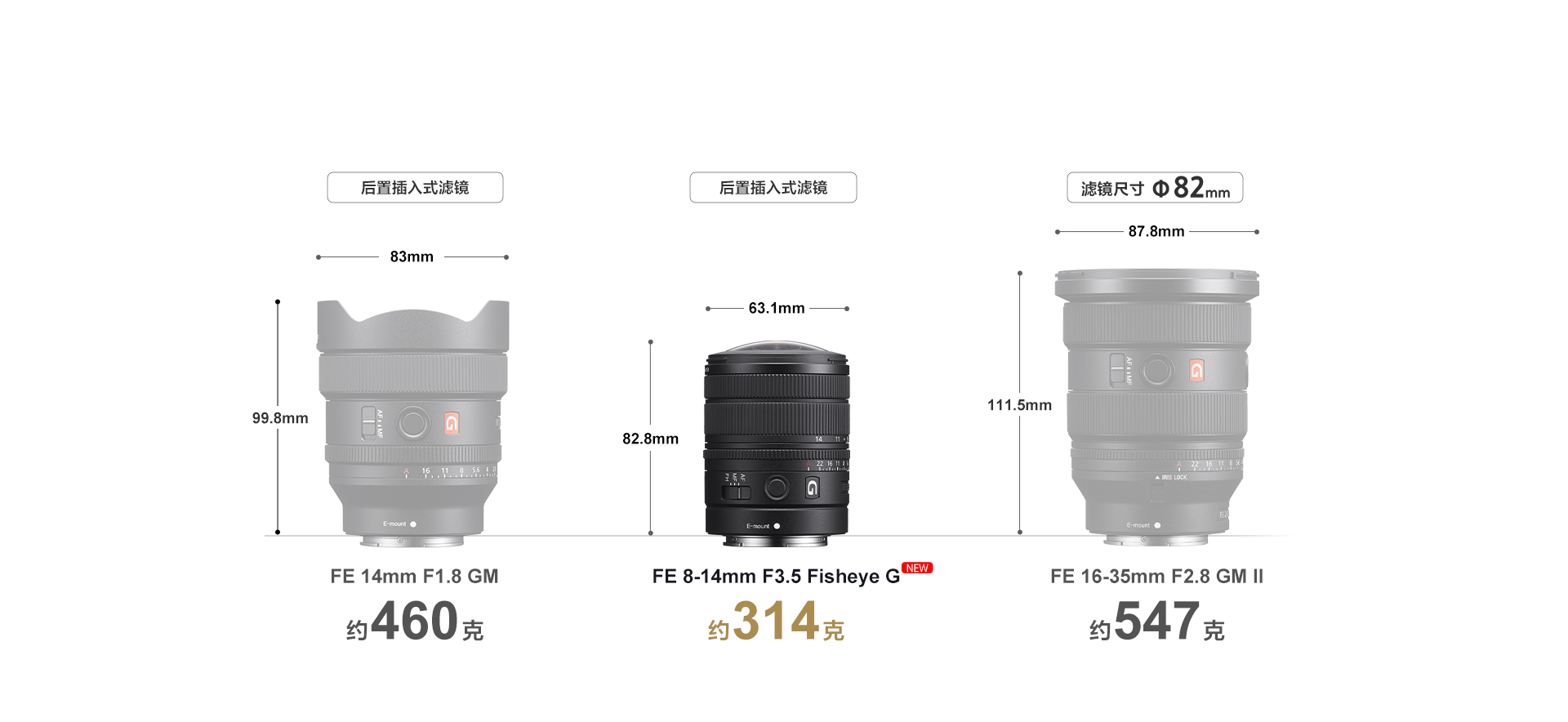 FE 8-14mm F3.5 Fisheye G