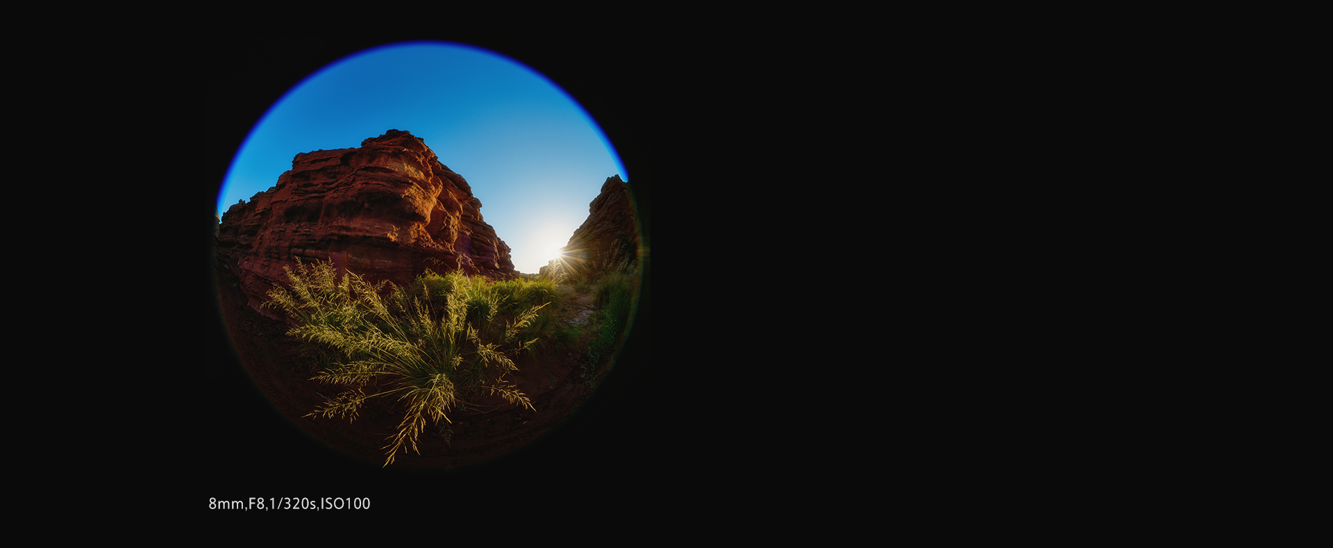 FE 8-14mm F3.5 Fisheye G