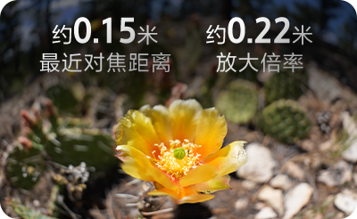 FE 8-14mm F3.5 Fisheye G
