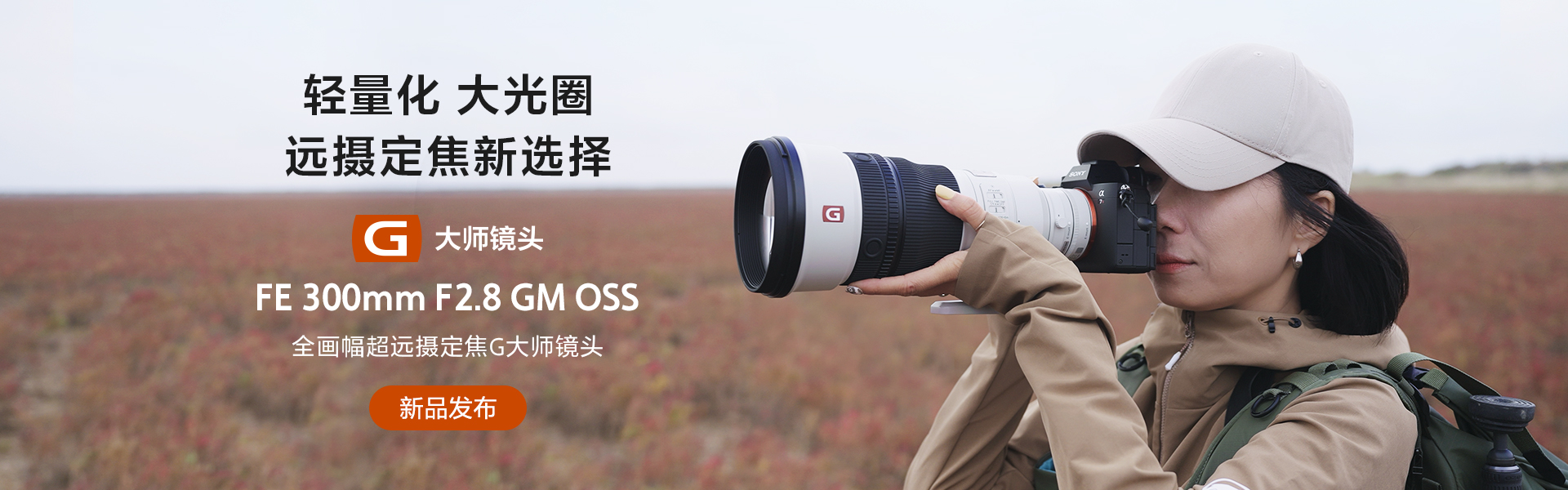 SEL300F28GM