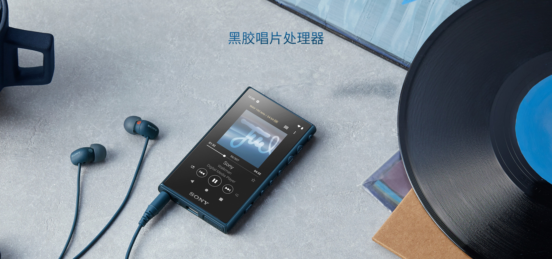 黑胶唱片处理器