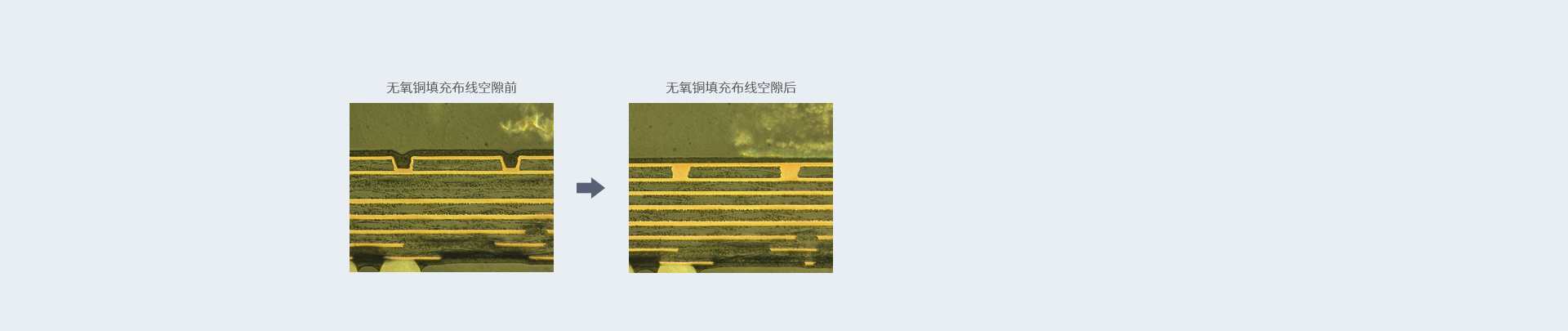 NW-WM1AM2