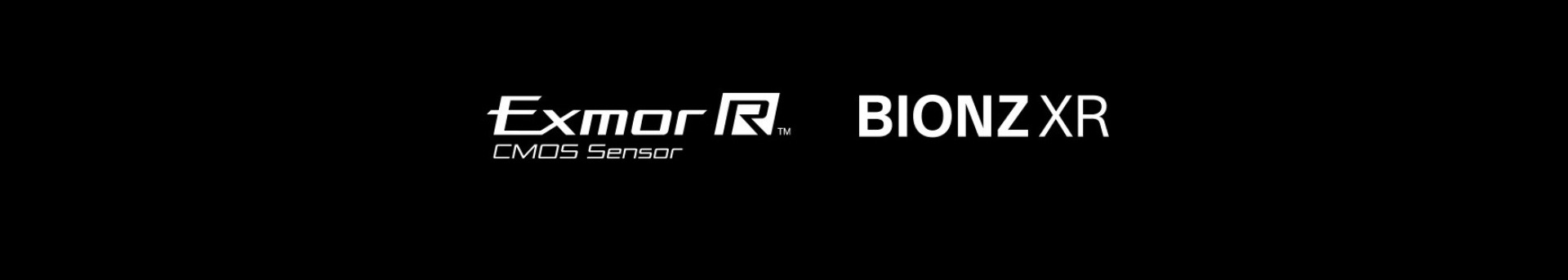 ILX-LR1全画幅可扩展系统遥控相机