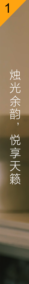 LSPX-S3 晶雅音管致享光音