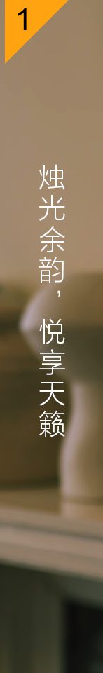 LSPX-S3 晶雅音管致享光音