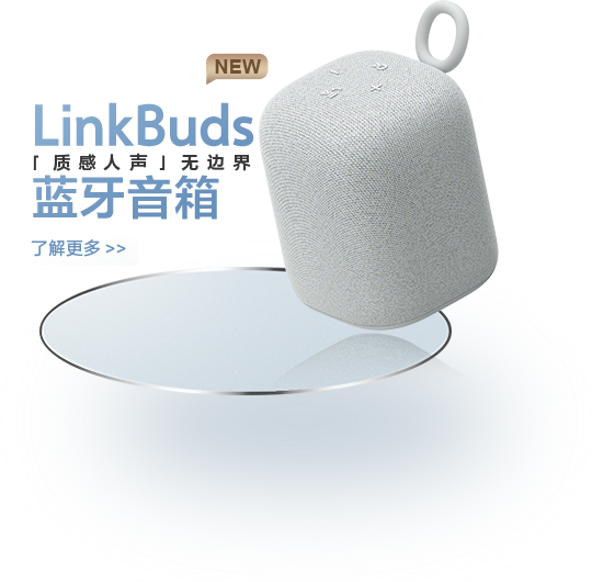 LinkBuds 蓝牙音响